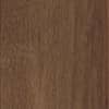 Mflor 41813 Broad Leaf Dark Sycamore 25-05 - Thumbnail Image 3